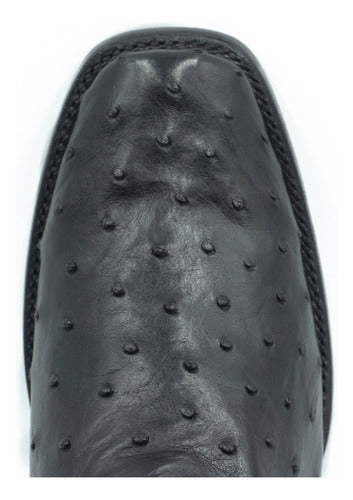 Dilan Model