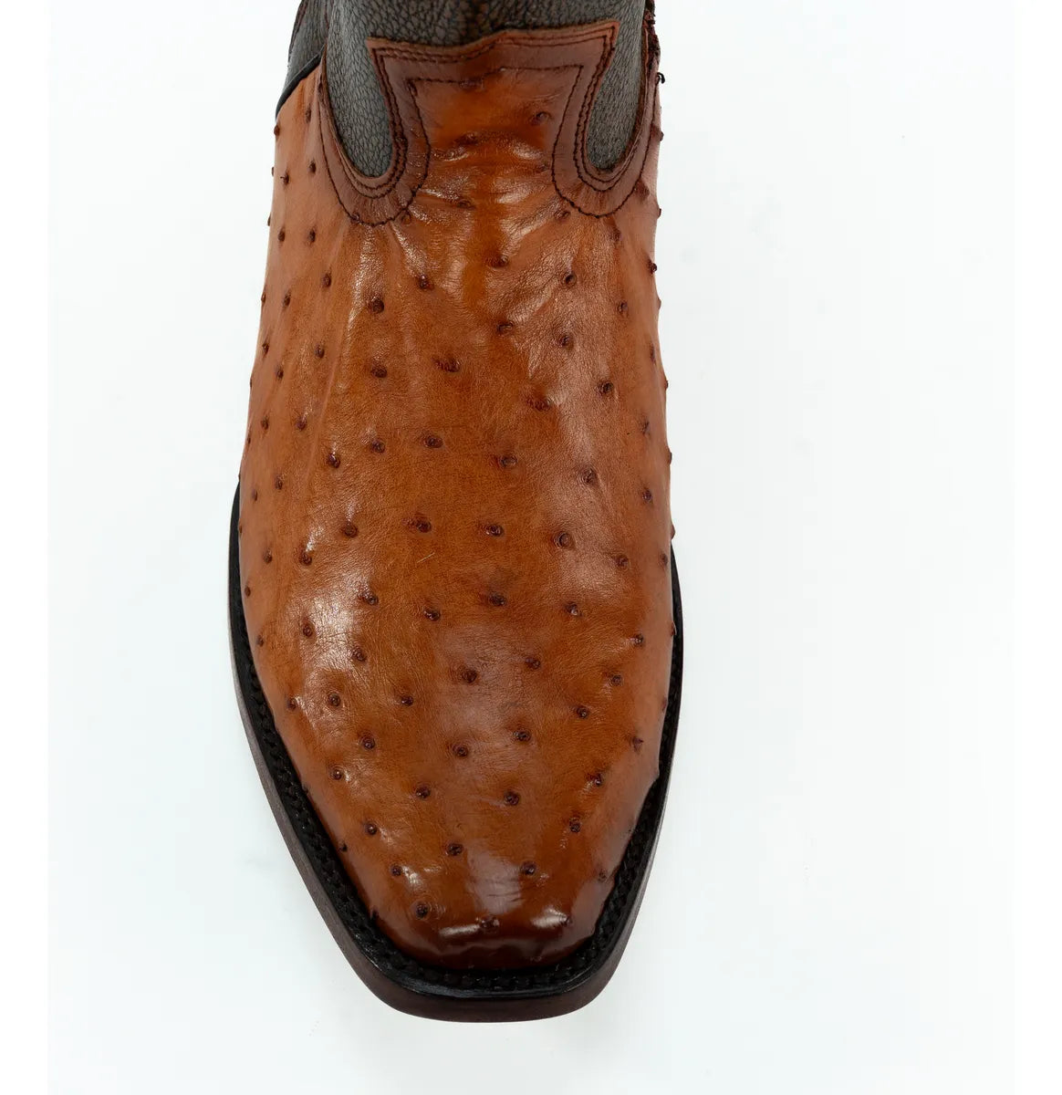 Dilan avestruz cogñac